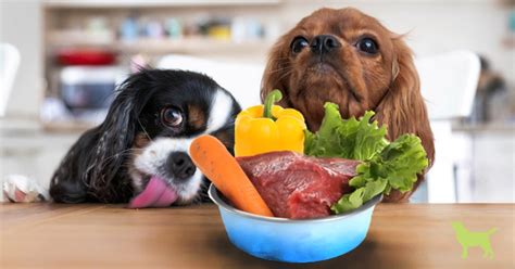 Can I Feed Raw Chicken to My Dog? A Look into the Debate.