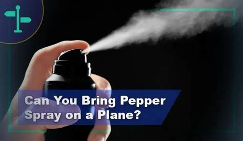 can you bring a taser and pepper spray on a plane