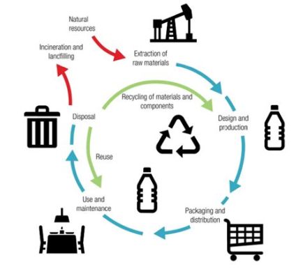 Is Rubber Biodegradable: A Detailed Analysis from Various Perspectives