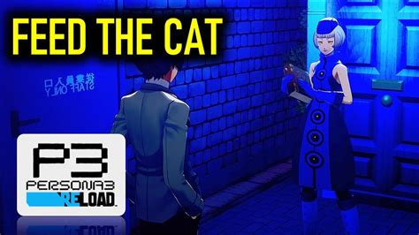 Please Feed the Cat Persona 3 Reload: A Multi-Layered Exploration